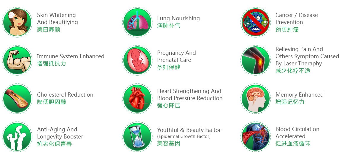 Benefits Of Consuming Bird's Nest.