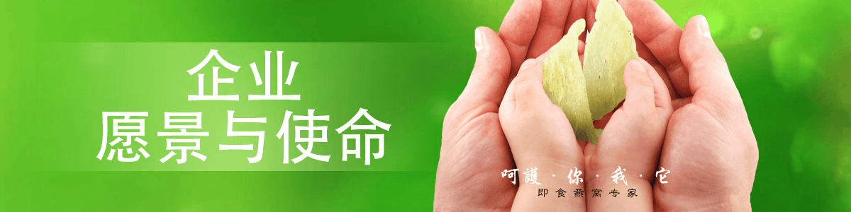 企业愿景与使命