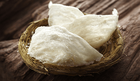 Types Of Bird's Nest